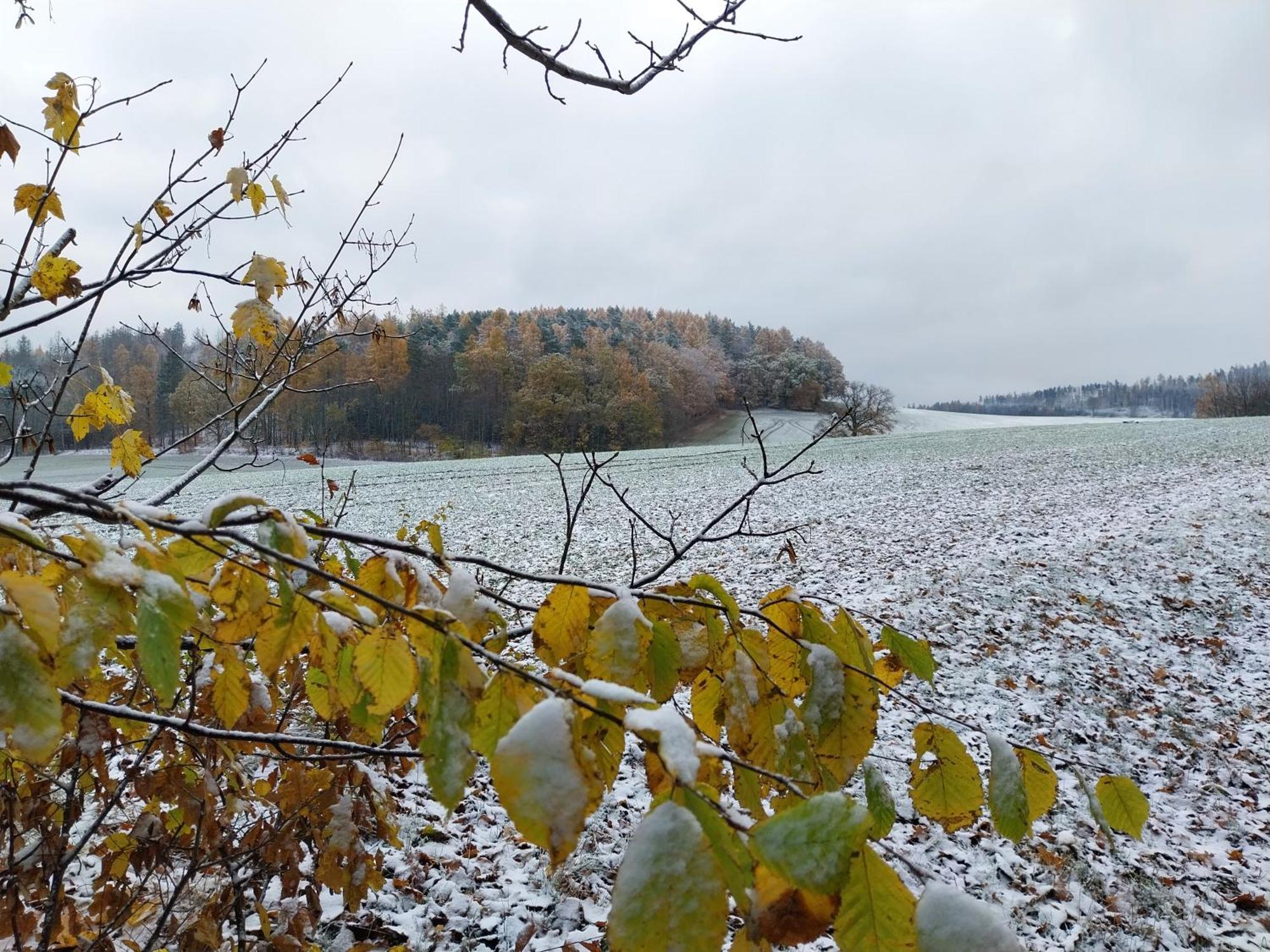 Landhotel Waldschloesschen Mit Gaststube Sohland an der Spree Exterior foto